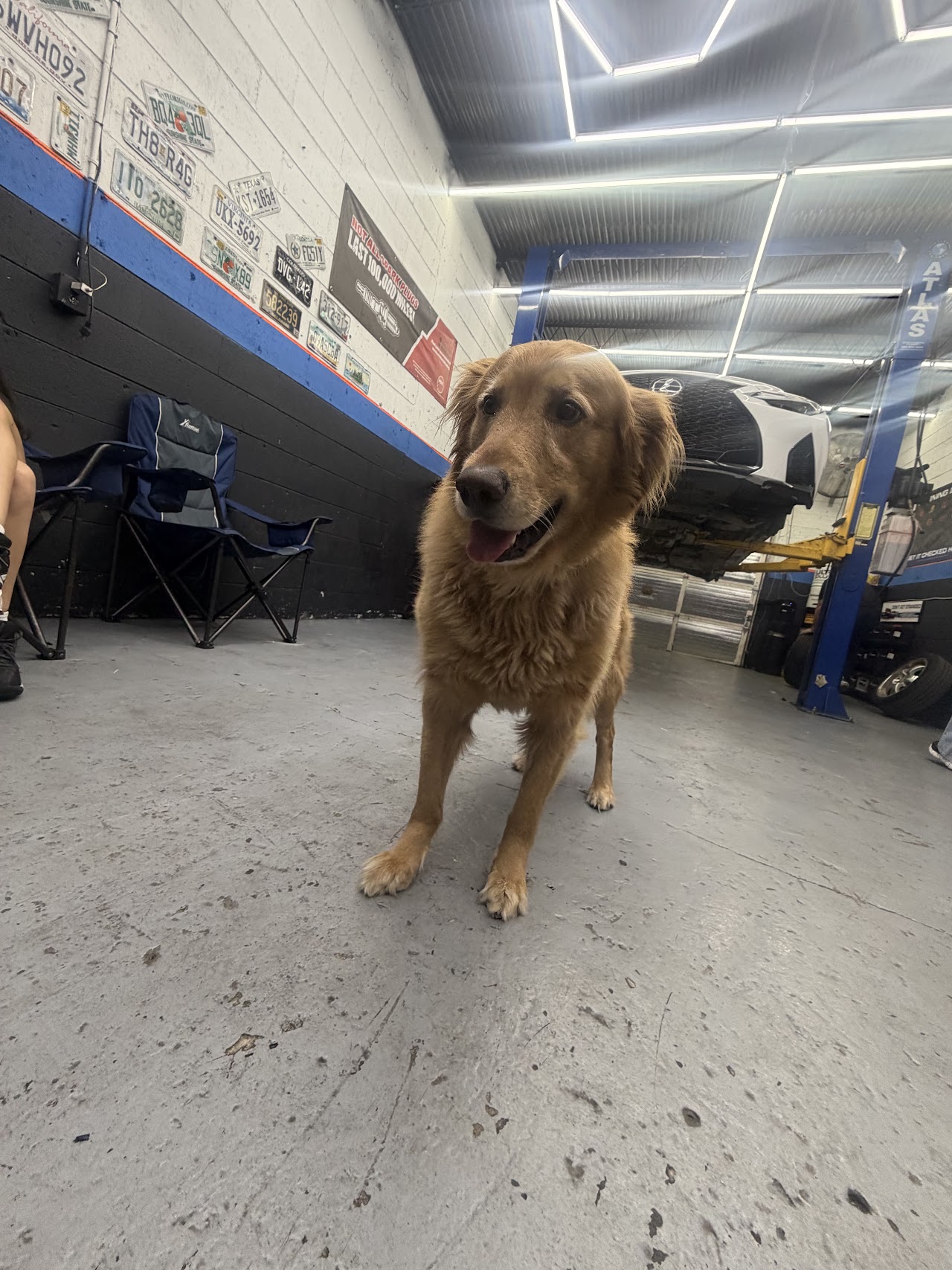 The shop floor at Rubens Auto Service, Oakland Park FL